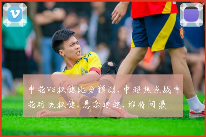 申花vs权健比分预测,中超焦点战申花对决权健,悬念迭起,谁将问鼎