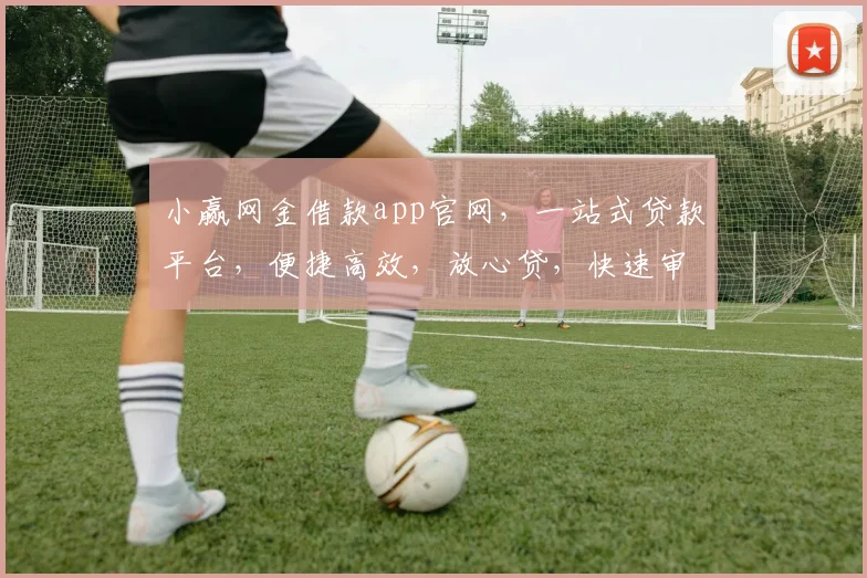 小赢网金借款app官网，一站式贷款平台，便捷高效，放心贷，快速审核