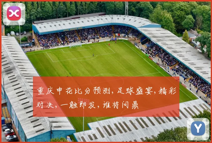 重庆申花比分预测,足球盛宴,精彩对决,一触即发,谁将问鼎