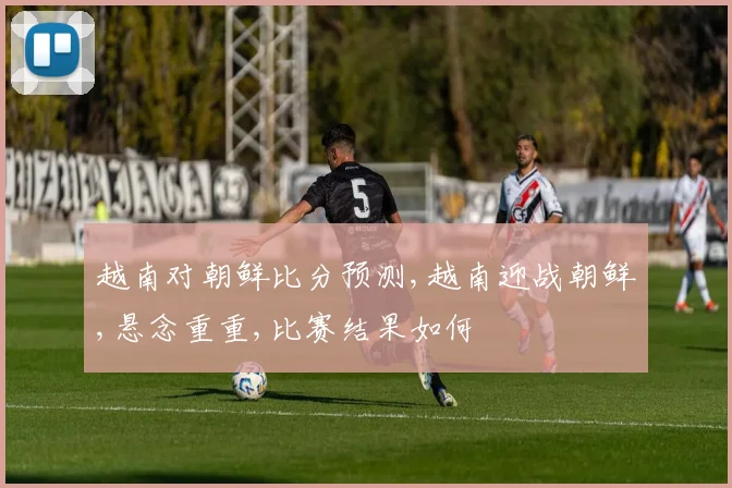 越南对朝鲜比分预测,越南迎战朝鲜,悬念重重,比赛结果如何