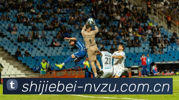 未来规划